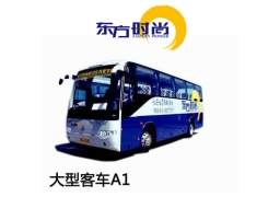 增駕大客假日班