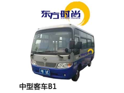 學車的幾種方