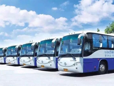 C本直考理論考試通過率僅15.2%