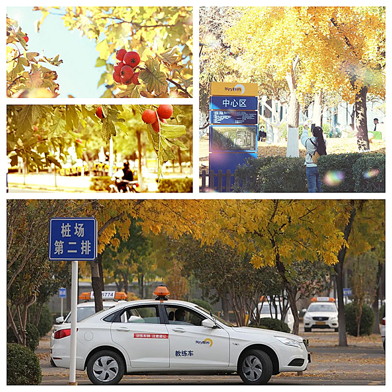 駕照科目三安全文明駕駛常識